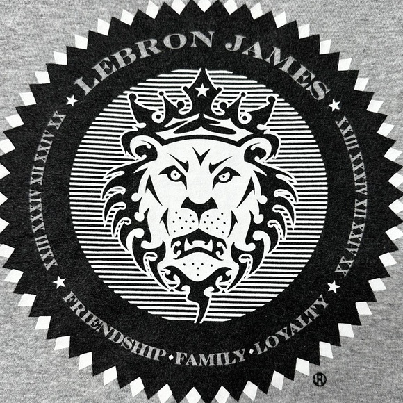 Nike Lebron James More Than a Game World Tour Graphic T-Shirt Grey Men’s XL - Picture 4 of 10